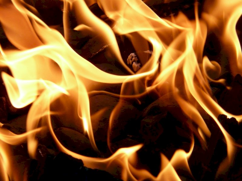 В Новосибирской области в пожаре погибли мать и четверо маленьких детей