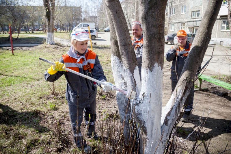 Свердловские энергетики провели субботник в рамках волонтерской экоакции «Весенняя ПАРКовка»