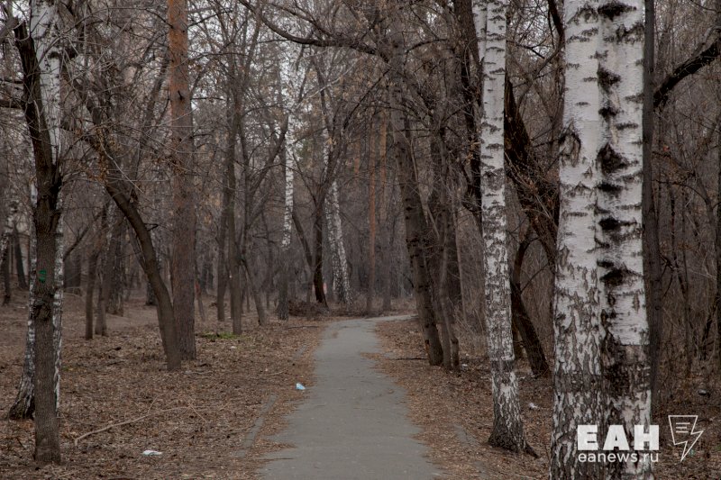Нельзя ходить в лес: на Южном Урале ввели противопожарный режим