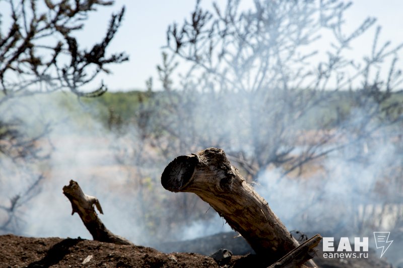 В Челябинской области объявили о начале пожароопасного сезона