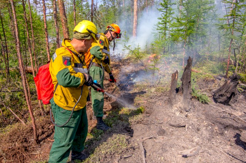 На Урале горит более 1,1 га леса