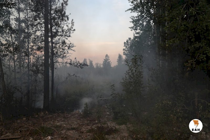 Площадь природных пожаров в Свердловской области почти достигла 200 га