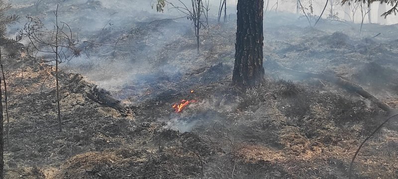Ситуация с лесными пожарами стабилизировалась по всему Уралу