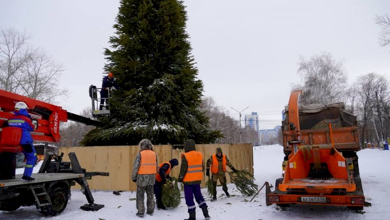 В Оренбурге елки с городских улиц пустят на удобрения 