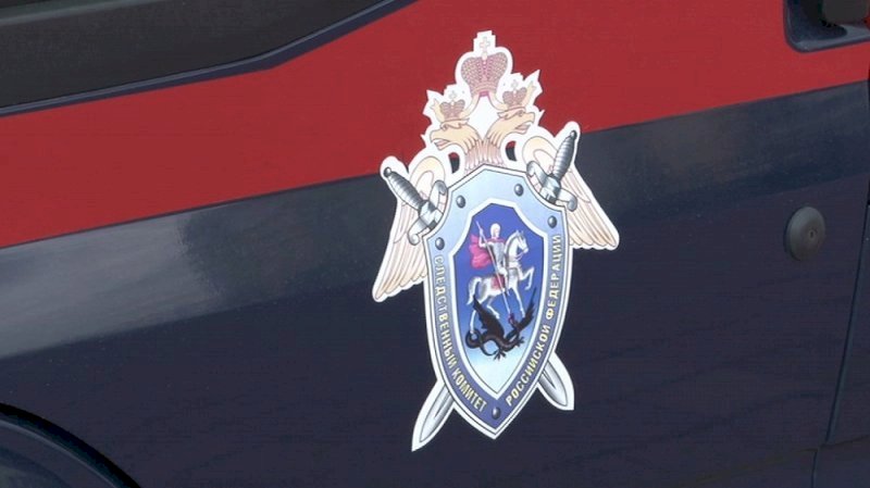 Глава СКР Бастрыкин потребовал отчет о прекращении дела челябинского пранкера