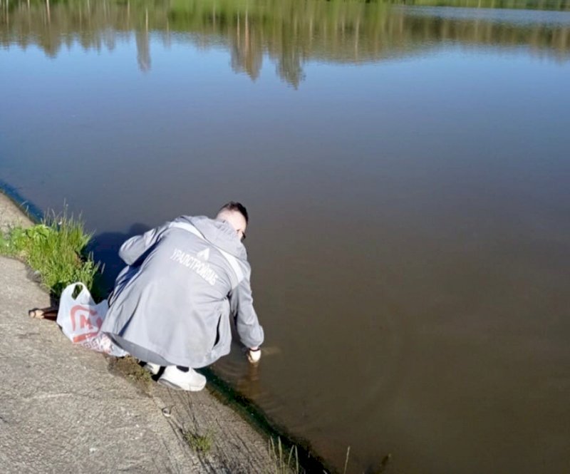 Специалисты запретили купаться в нескольких водоемах Челябинской области