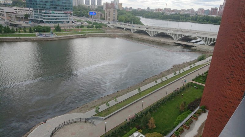 Разлив нефтепродуктов заметили в Городском пруду Екатеринбурга. ФОТО