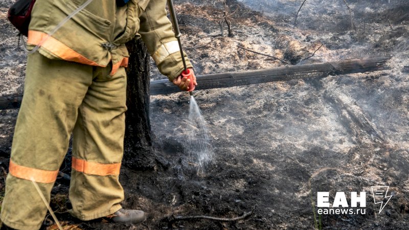 За выходные 14 природных пожаров произошло в Курганской области 