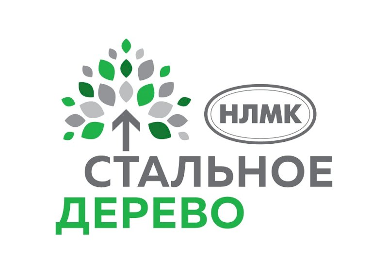 Екатеринбургская «ВИЗ-Сталь» объявляет о начале приема заявок на получение грантов программы «Стальное дерево»