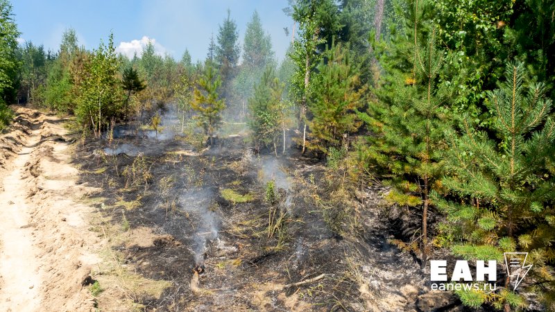 20 природных пожаров продолжают бушевать в Свердловской области