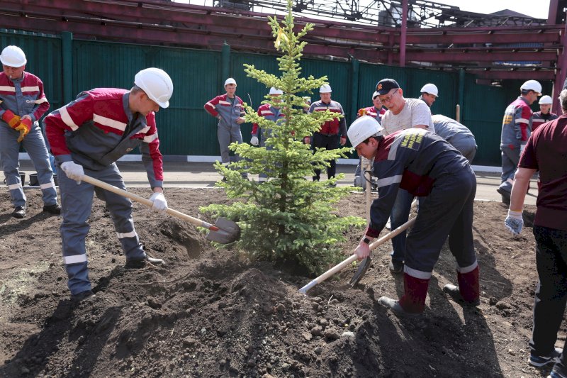 Работники медно-серного комбината высадили деревья и цветы в Медногорске 