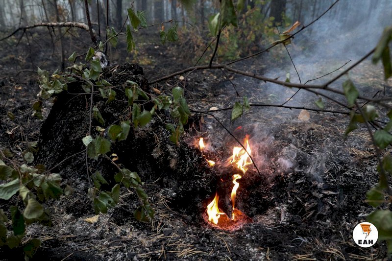 Все природные пожары в Свердловской области локализованы