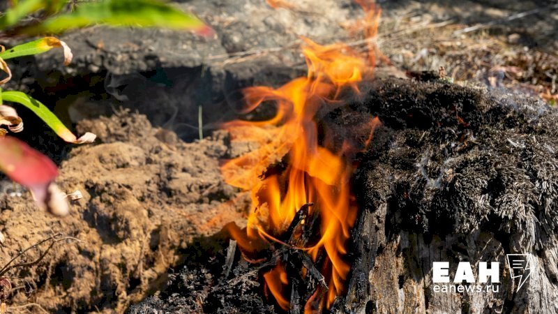 Первые лесные пожары произошли в Челябинской области 