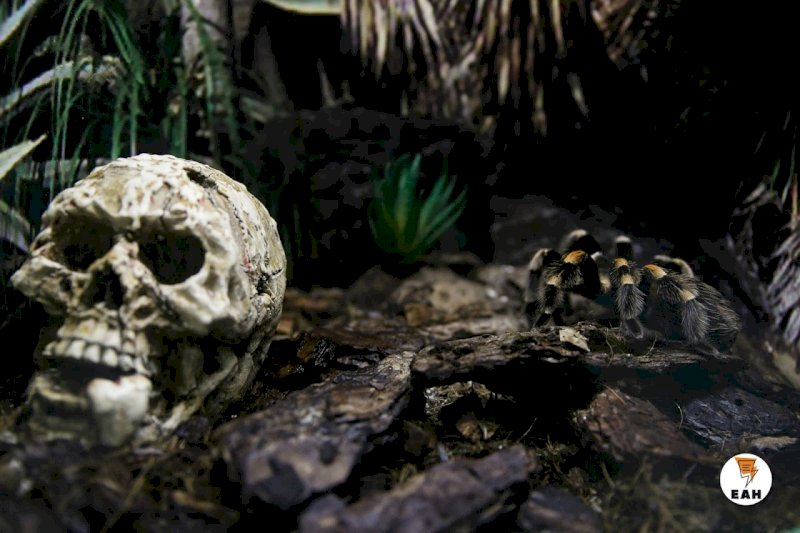 Скелет человека нашли на берегу реки в Свердловской области