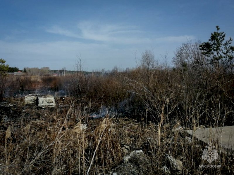 Неизвестные пытались устроить лесной пожар в Свердловской области