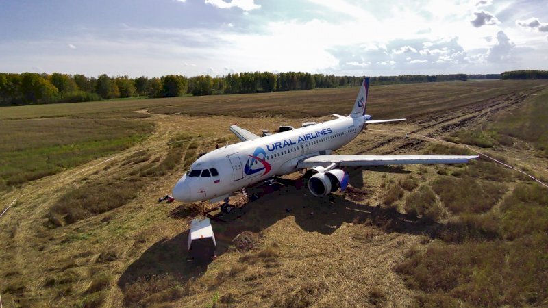 Озвучены итоги нового расследования посадки на пшеничном поле самолета «Уральских авиалиний»