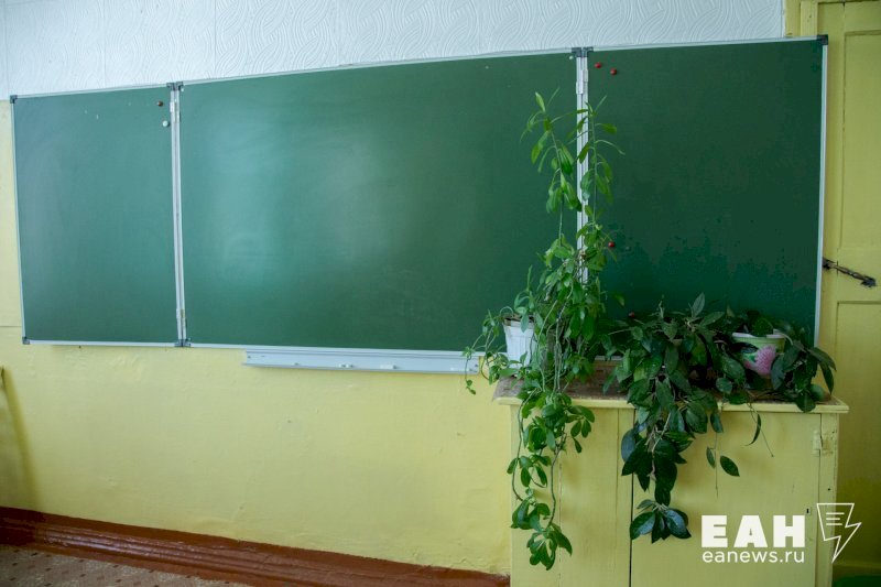 Учительница ударила ребенка по голове в школе Екатеринбурга