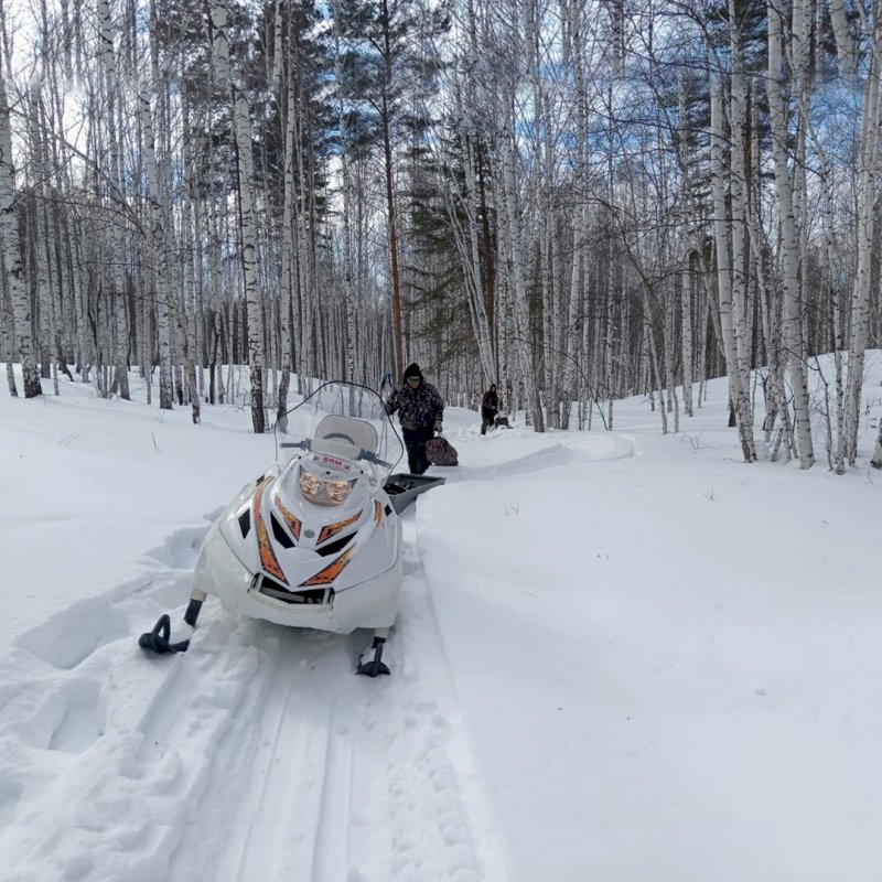 Лыжник пропал в лесах Челябинской области