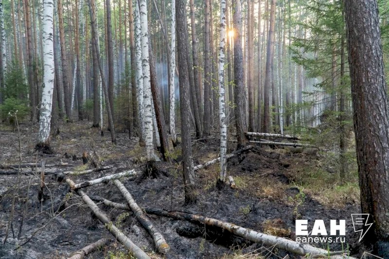 Противопожарный режим отменили в Свердловской области 