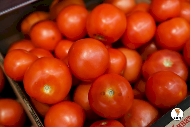 Тонны зараженных помидоров из Казахстана уничтожат в Екатеринбурге