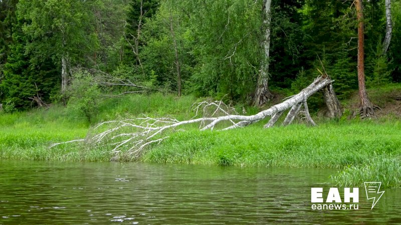  В челябинский национальный парк запретили въезд из-за паводка