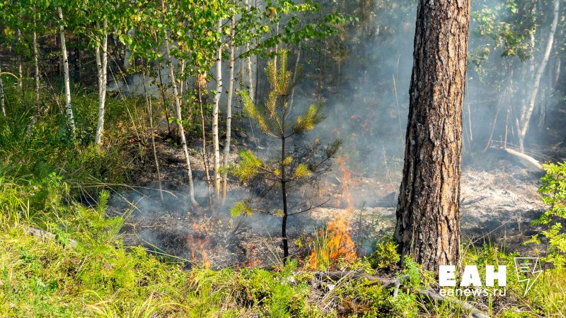 Свердловские синоптики назвали зоны риска по лесным пожарам