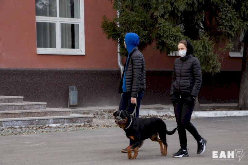 Новая площадка для выгула собак появится в Екатеринбурге
