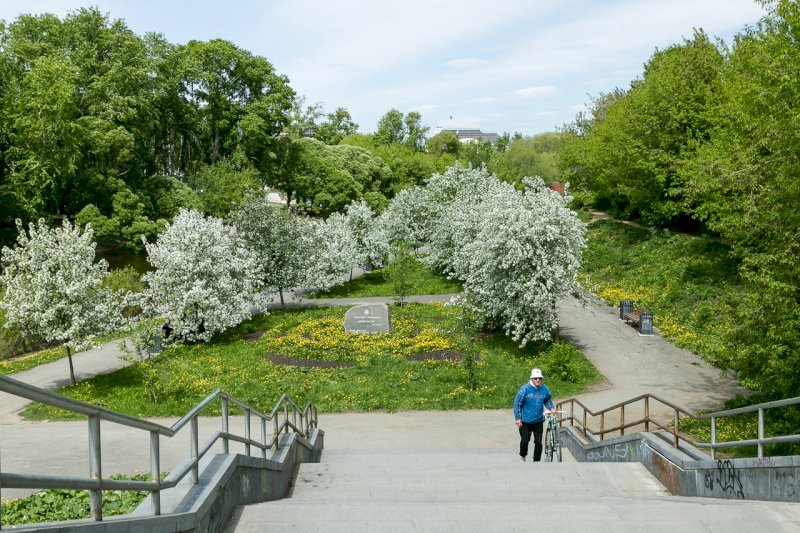 Еще одно голосование: екатеринбуржцы выбирают парк, который благоустроят на федеральные деньги
