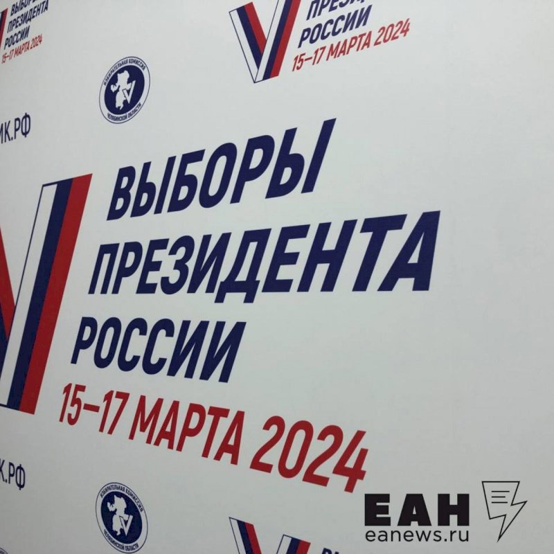 Дистанционно проголосовали на выборах 75 % челябинских избирателей, подавших заявки