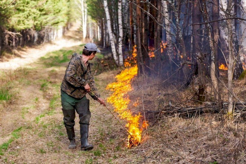 Федеральные чиновники обеспокоены низкой готовностью к лесным пожарам в Курганской области