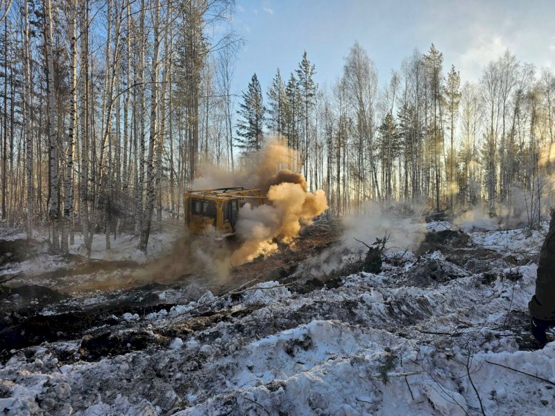 Торфяники потушили на 50 гектарах в Свердловской области