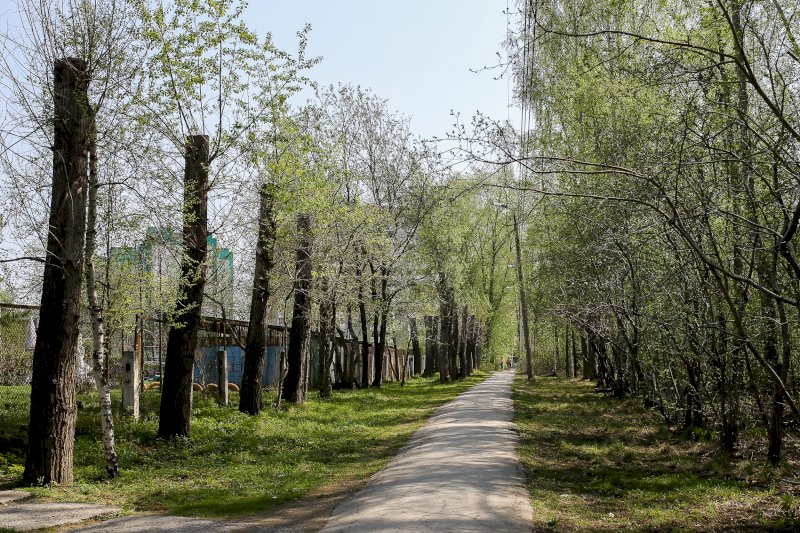 Свердловские власти рассказали, когда парки обработают от клещей