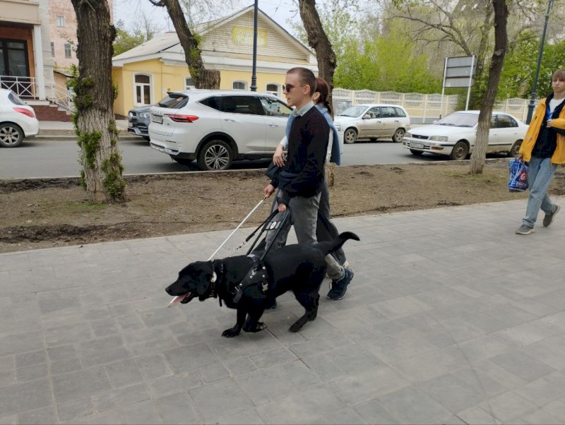 «Оренбург на 40-м месте»: владелец собаки-поводыря из Оренбурга – об отношении людей и городской среде