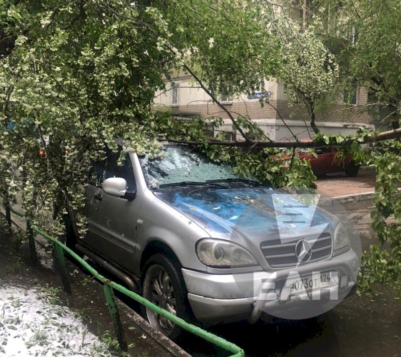 Сломанное ветром дерево, на которое жаловались челябинцы, упало на Mercedes-Benz