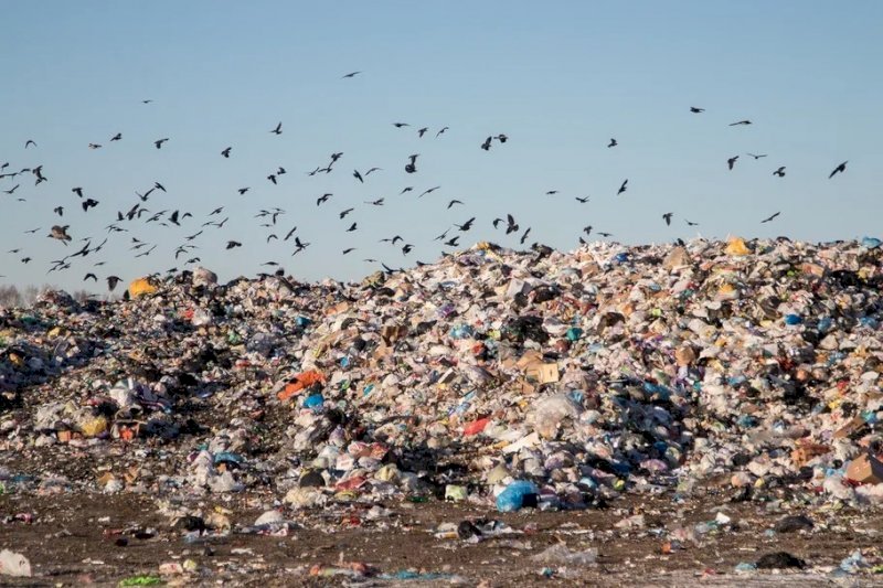 Тысячи мусорных баков закуплено для устранения последствий паводка в Оренбуржье