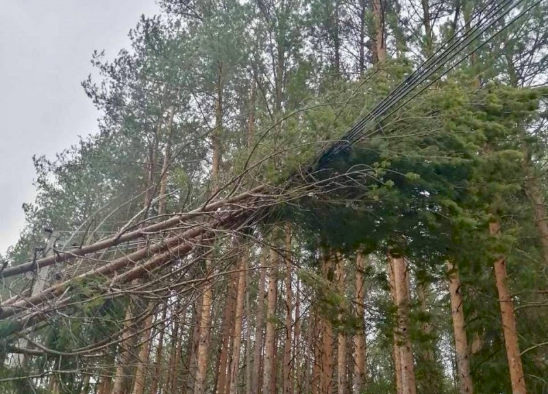  МЧС вновь предупредило о сильных ветрах в Свердловской области