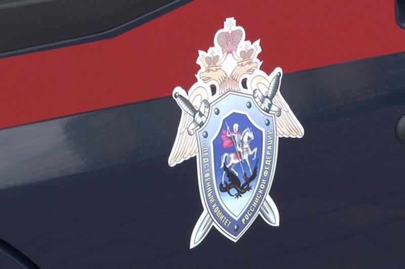 Бастрыкин потребовал доклад по делу об избиении ребенка в Екатеринбурге