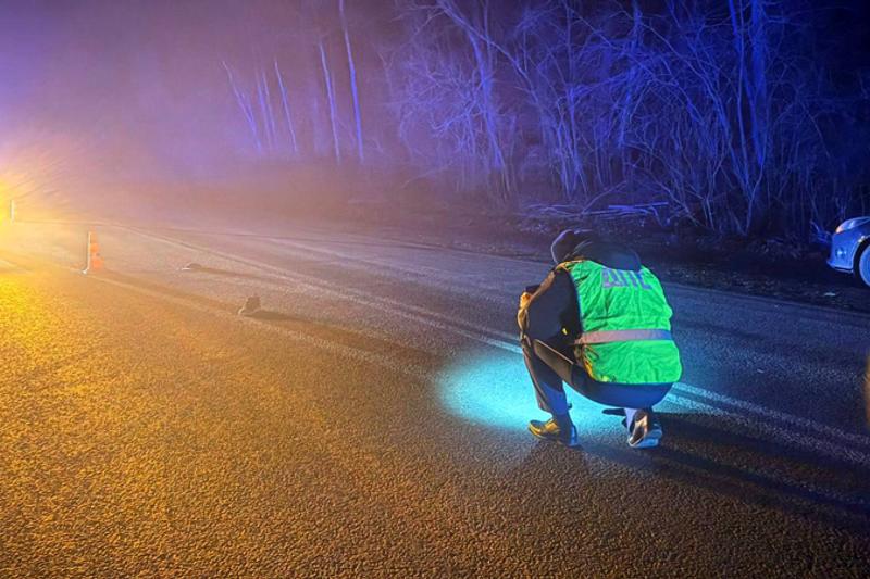 На свердловской трассе насмерть сбили пешехода