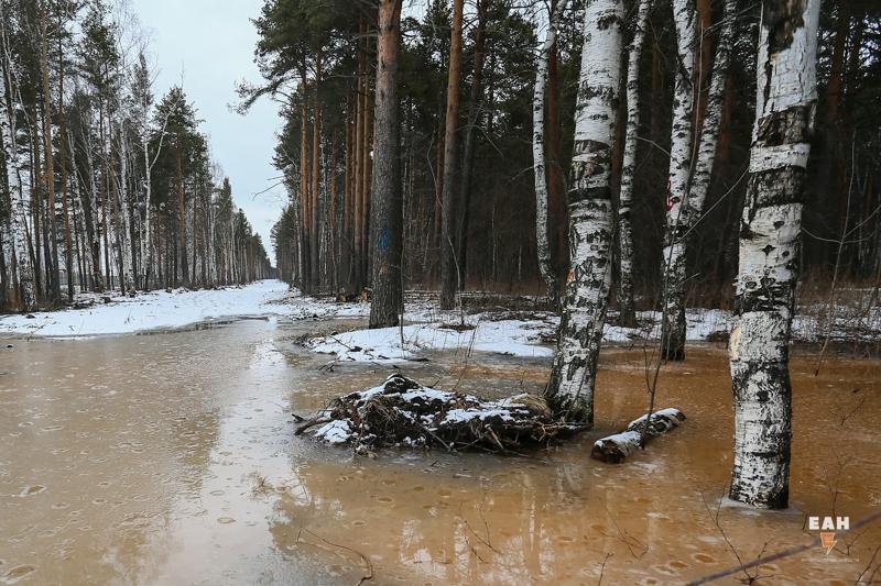 Синоптик снова предсказал паводок в Курганской области