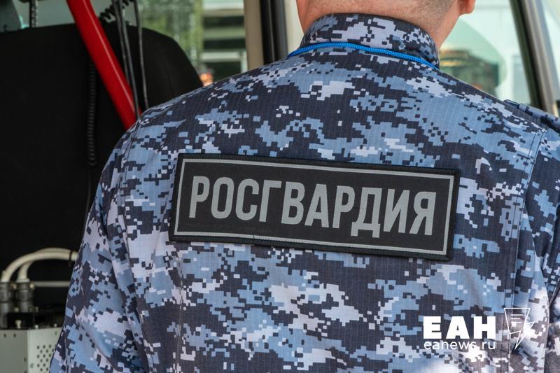 Власти Екатеринбурга попросили у области помощи с охраной школ