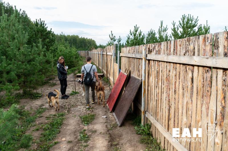 Эксперт по недвижимости объяснила пользу от новых правил регистрации земли