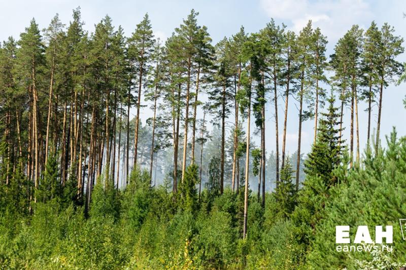 Алғашқы гей порно