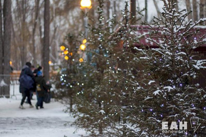 Елочные базары откроются в Челябинске на этой неделе