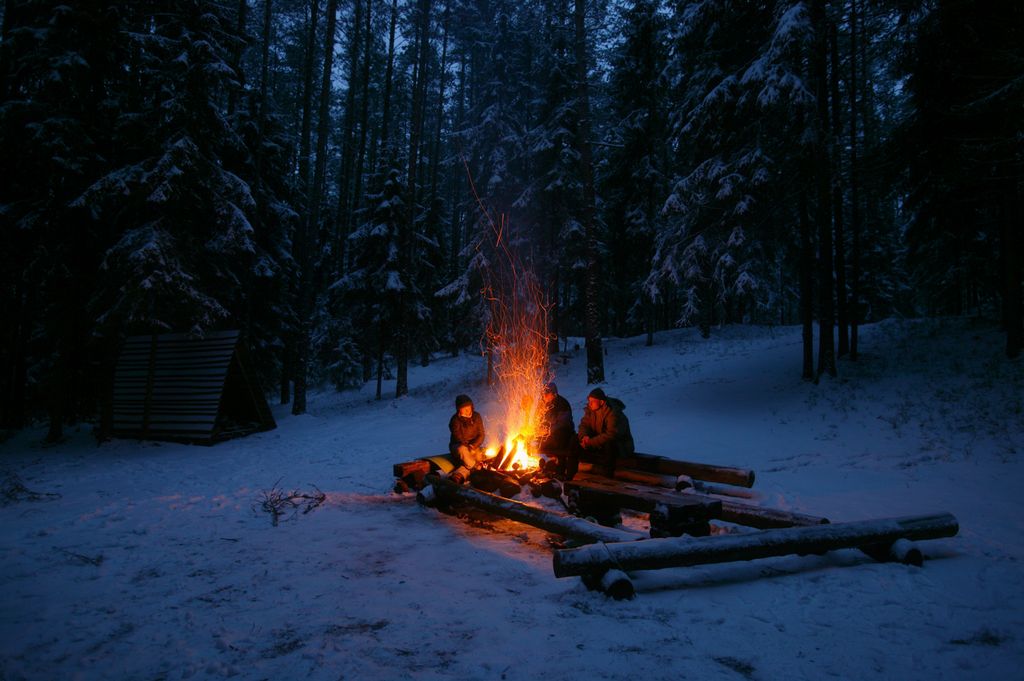 Огонь в зимнем лесу