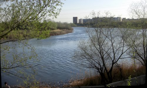 Камера на реке тобол в кургане. Река Тобол. Берег реки Курган. Тобол Курган фото. В Кургане откроют реку Тобол.