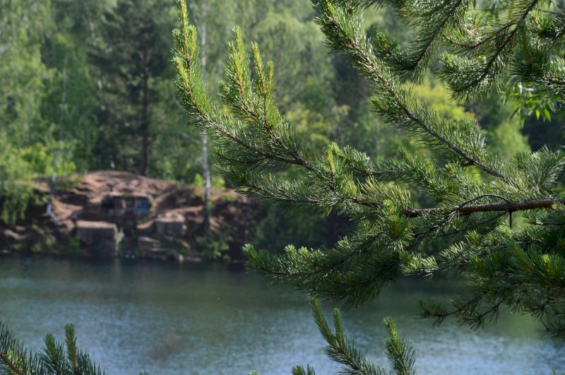 В челябинске на неделю