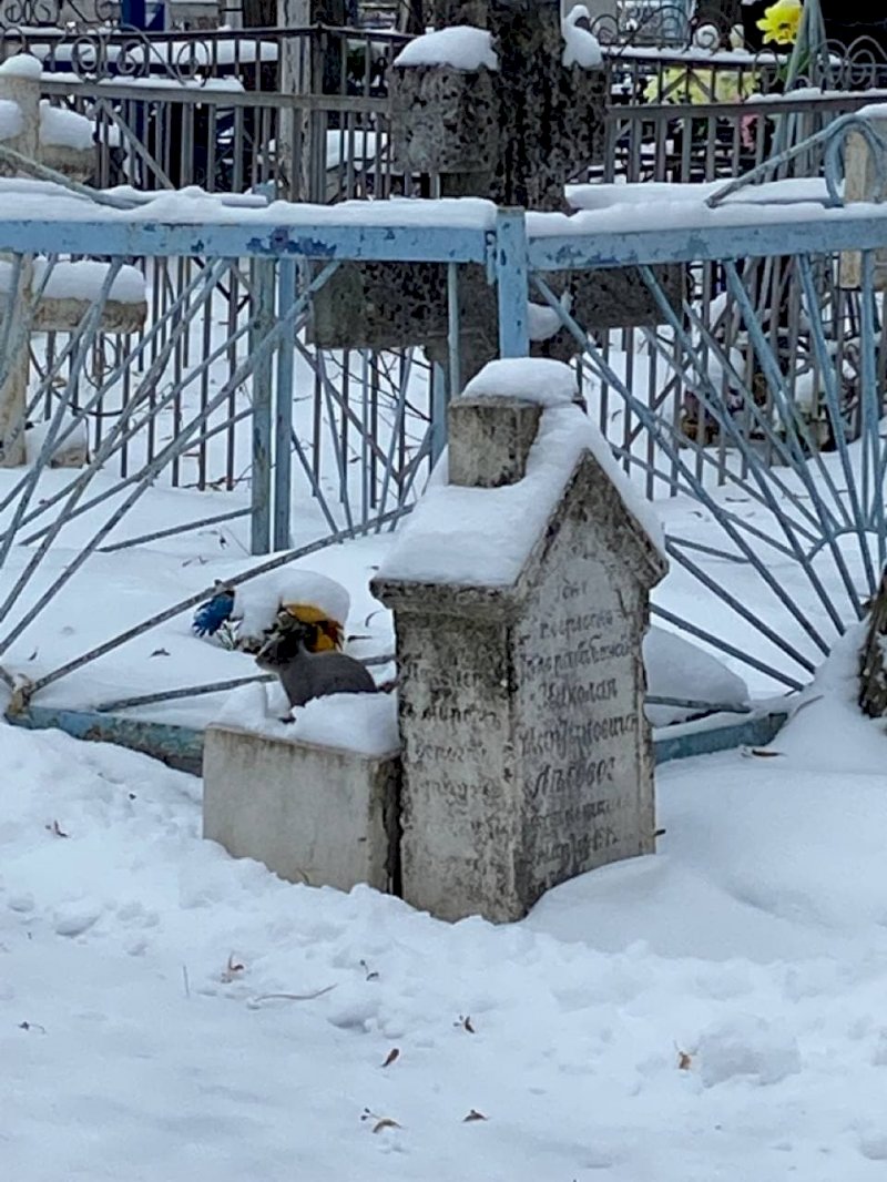 Час в полете и ты в Европе: Тобольск глазами екатеринбуржцев (ФОТО) |  25.11.2021 | Екатеринбург - БезФормата