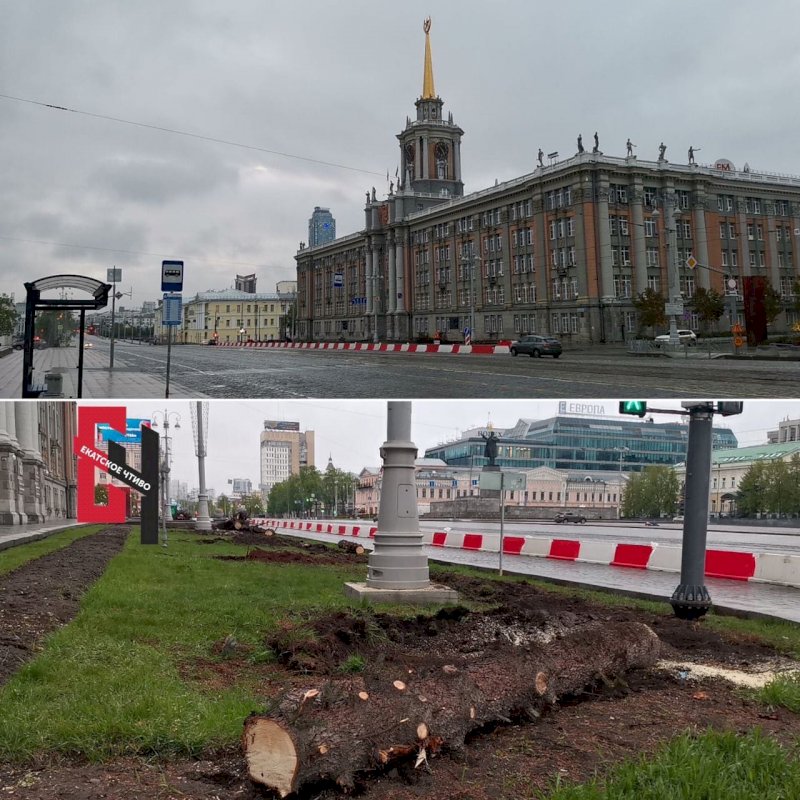 Возле екатеринбурга. Ансамбли Екатеринбурга. Администрация Екатеринбурга фото ели. Возле администрации Екатеринбурга убрали елки. Елки у администрации Екатеринбурга.