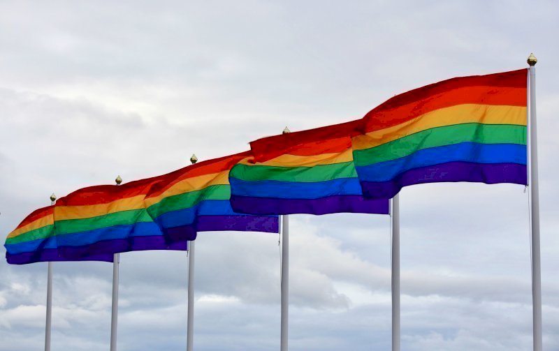 Роскомнадзор составил 47 протоколов в отношении онлайн-сервисов за показ ЛГБТ-контента